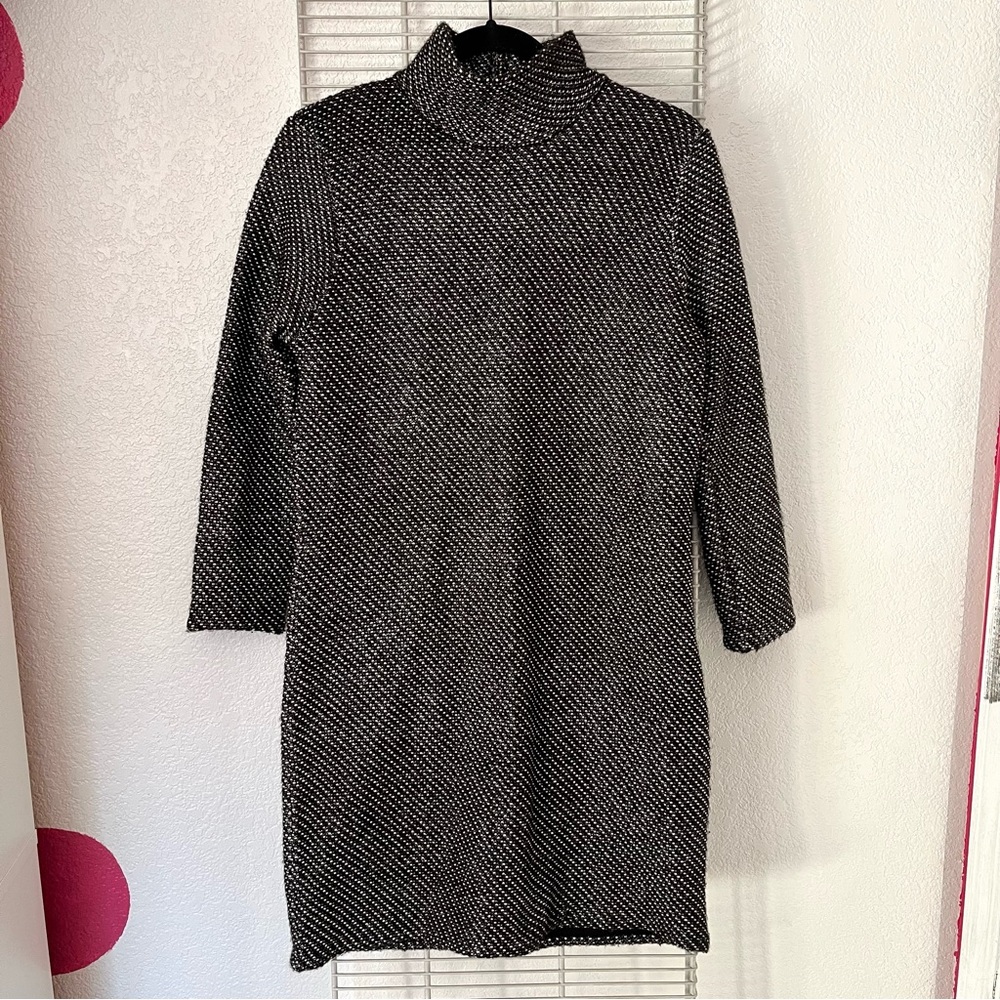 Zara Knit Turtle Neck Long Sleeve Dress